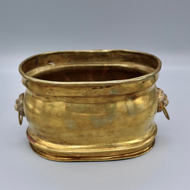 Neoclassical Vintage Gilt Metal Oval Cachepot Planter With Lion Head Ring Handles For Sale - Image 3 of 11