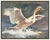 Message us to inquire about custom framing options! (Included for free with every purchase) The artwork here, "Swan in...
