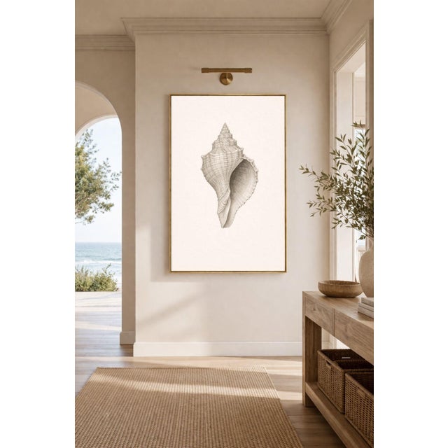 Contemporary Conch Shell Study, Minimal Coastal Still Life Art Print, 24" × 36" For Sale - Image 3 of 10