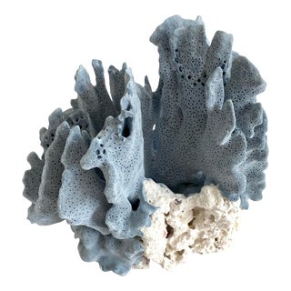 Natural Blue Coral Specimen Coastal Decor For Sale
