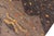 Moroccan Rustic Gray/Rust Wool & Silk Rug - 5'8'' X 8'1'' For Sale In New York - Image 6 of 10