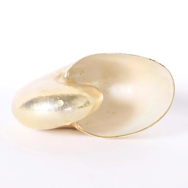 Gold Plated Nautilus Shell For Sale - Image 4 of 7