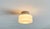 1960s Mid-Century Modern Minimalist German Ceiling Glass Lamps from Kaiser Leuchten, 1960s, Set of 2 For Sale - Image 5 of 18