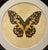 An elegant butterfly artwork by Natural Curiosities, presented in a substantial circular black frame with a beautifully...