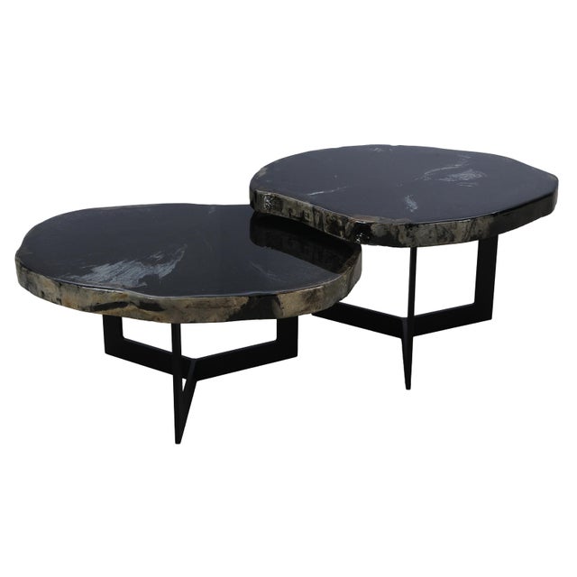 Black Epoxy Covered Petrified Wood Coffee Tables by Xyleia Petrified Wood, Set of 2 For Sale - Image 4 of 12