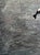 Alex Paulus “Be dazzled” Colorful Contemporary Ocean Seascape Painting of a Jumping Orca, 2013 For Sale In Houston - Image 6 of 8