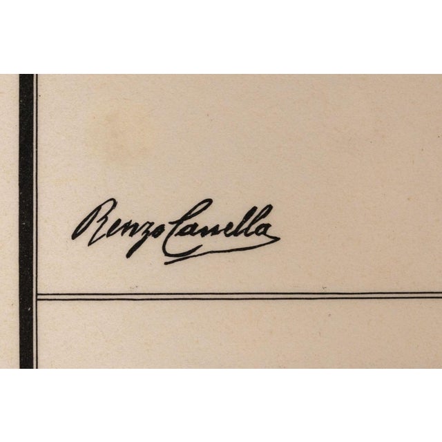 1950s Educational Poster Depicting Pollination from G.B. Paravia Torino, 1957 For Sale - Image 5 of 6