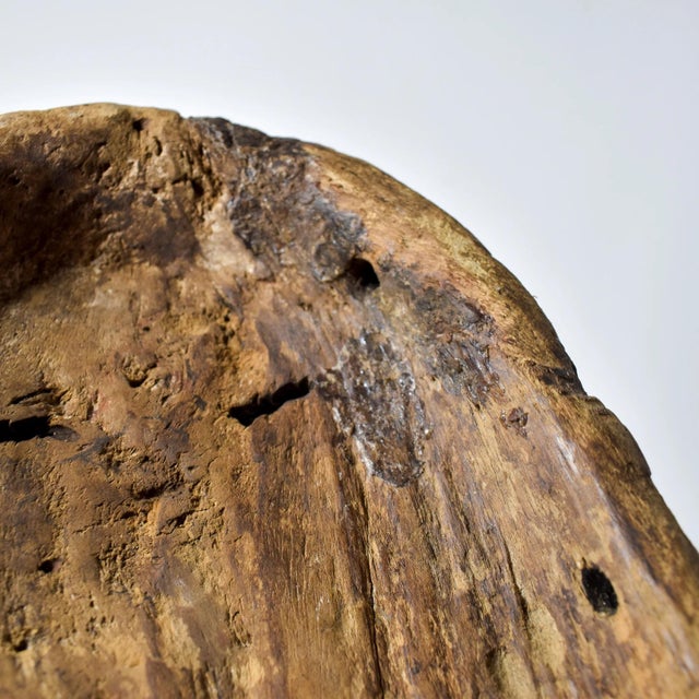 Early 20th Century Lega Bwami Society Mask Congo For Sale - Image 11 of 11