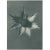 An exquisite original period black-and-white Photogravure N66 of Eryngium giganteum, Giant Eryngo, Flower, with...