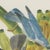 Descourtilz, Tanagers on a Banana Plant, Brazilian Bird Print, 1944, Paper For Sale - Image 3 of 12