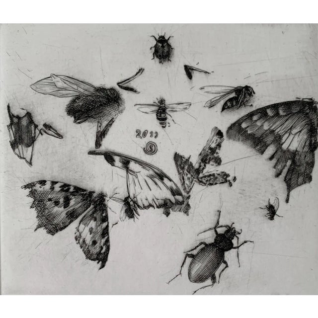 Paper Krzysztof Skórczewski, Insects Rural Sketches, 2011 For Sale - Image 7 of 7