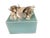 This handmade.keepsake box is adorned with natural seashells and a large mother-of-pearl nautilus shell, offering a...