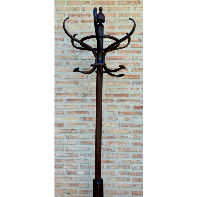 Wood Early 20th Century Coat Stand from Thonet, 1950s For Sale - Image 7 of 8