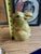 1970s Decoupage Ceramic Floral Bunny Sculpture For Sale - Image 4 of 8