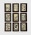 Late 19th Century Antique Butterfly Print Gallery Wall Set in Walnut Frames - 9-Piece For Sale - Image 5 of 10