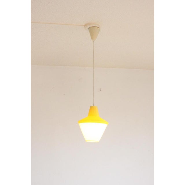 Cellulose Pendant Lamp from Atelier De Recherche Plastique & Rotaflex, 1950s For Sale - Image 15 of 17