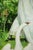 The painting "Swan-Princess" features a figure adorned in a flowing white garment, set against a lush, verdant backdrop...