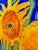 Quiet Places & Still Life — Six Sunflowers, After Van Gogh Original oil painting by Haas, 24 x 36 stretched canvas,...