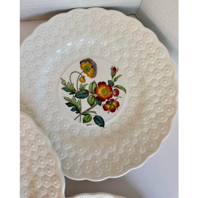 Vintage Spode Copeland England Botanical Luncheon Plates — Set of 10 For Sale - Image 12 of 16