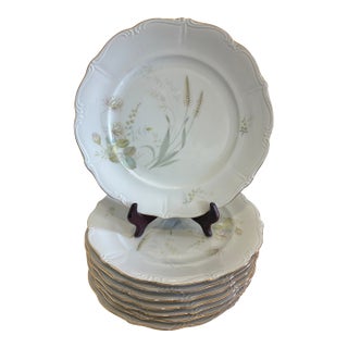 Vintage Forest Bavaria Dinner Plates With Gold Rim - Set of 8 For Sale