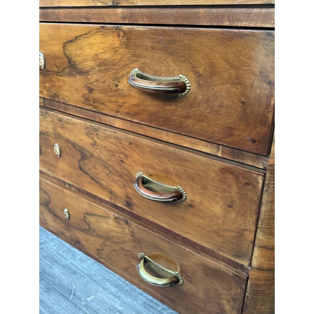 Vintage Italian Chest of Drawers in Burl Wood, 1930s For Sale - Image 10 of 17