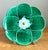 Vintage Majolica Lily Pad Plate For Sale - Image 12 of 12