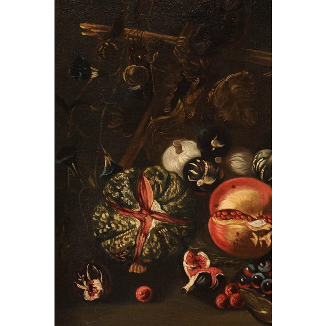 Michele Pace, Detto Michelangelo Del Campidoglio, Cerchia Di, Still Life with Fruit Peace, 1680, Oil on Canvas For Sale - Image 12 of 15