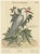 Lesser White Heron, 1773, Hand-Colored Engraving For Sale