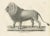 Majestic Barbary Lion Standing in Profile, 1836, Lithograph For Sale - Image 6 of 11