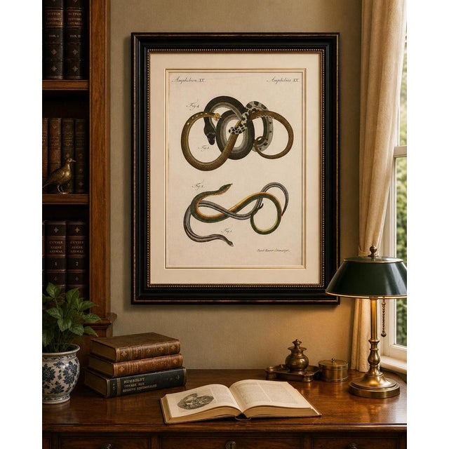 Bertuch, Four Slow Worms and Legless Lizards, 1802, Engraving For Sale - Image 9 of 10