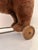 Vintage Plush Bear Pull Toy on Wooden Wheels For Sale In Miami - Image 6 of 12
