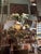 The Fashion House- Inside the Homes of Leading Designers For Sale - Image 4 of 12