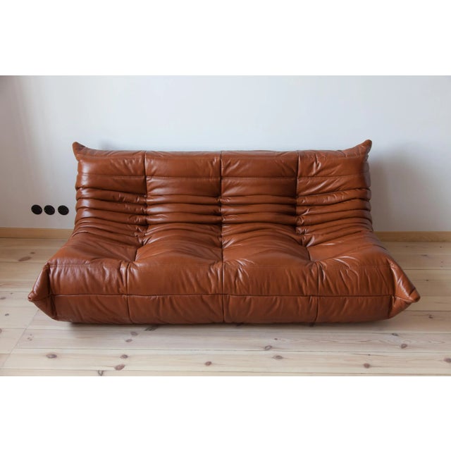 Cognac Brown Leather Togo Living Room by Michel Ducaroy for Ligne Roset, Set of 5 For Sale - Image 12 of 13