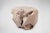 Bleached White Teak Root Accent or Side Table or Stool 29 For Sale In Greensboro - Image 6 of 6