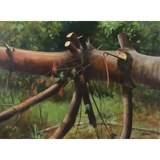1950s Robert Angeloch Fine Large Oil Painting Fallen Tree in Lands For Sale