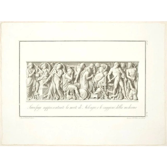 “sarcofago rappresentante la morte di meleagro” (sarcophagus representing the meleagro's death) is a beautiful black and...