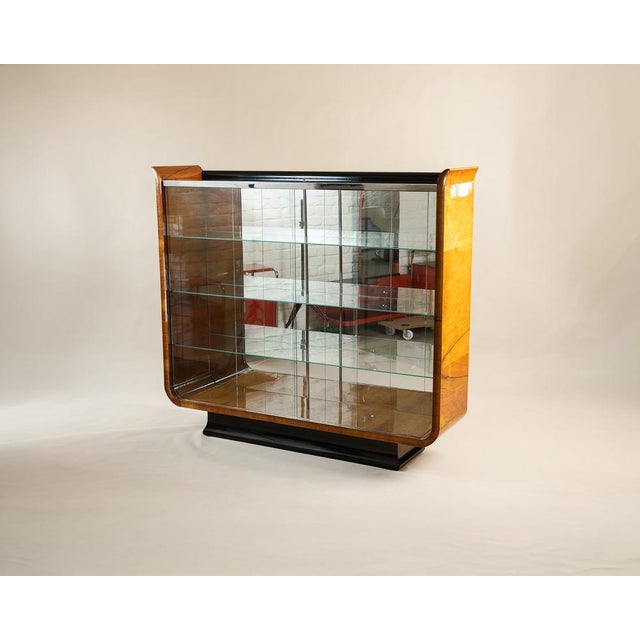 Tulip Display Cabinet byo Jindrich Halabala for Up Závody, 1930s For Sale - Image 4 of 4