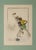 "Not True, Good Accounts Make Good Friends" Satirical French Illustration Comical illustration by Gaston Hoffmann (French,...