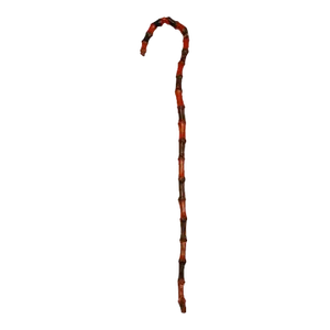 Mid 19th Century Bentwood Painted Walking Stick