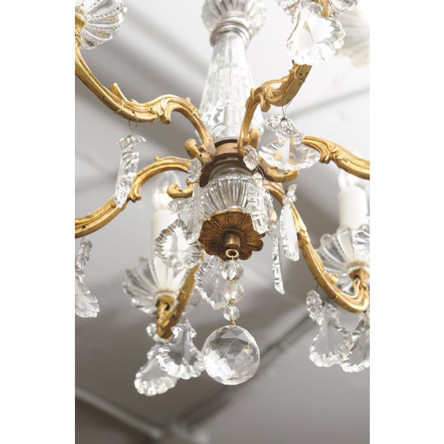 Petite Gilt Bronze & Crystal Louis XV Style Chandelier, 1930s France For Sale - Image 13 of 13