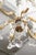Petite Gilt Bronze & Crystal Louis XV Style Chandelier, 1930s France For Sale - Image 13 of 13