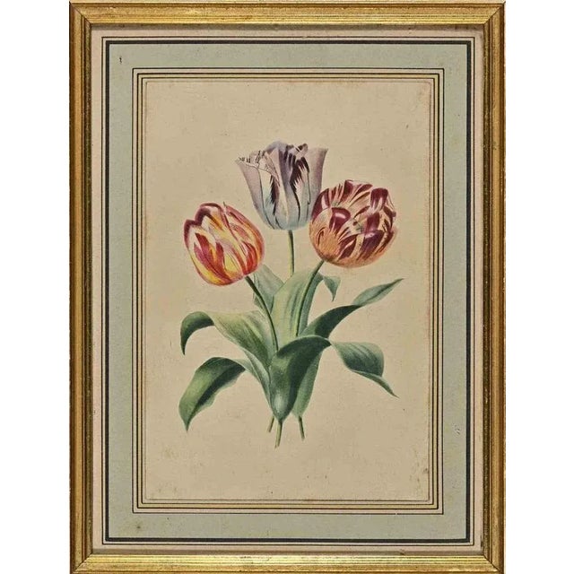 Edouard Maubert, Tulips, Etching, 19th Century For Sale - Image 4 of 4