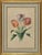 Edouard Maubert, Tulips, Etching, 19th Century For Sale - Image 4 of 4