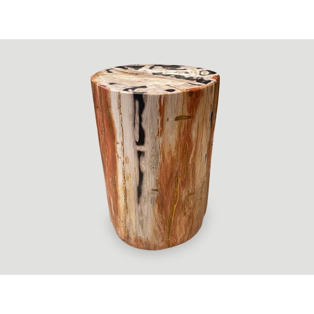 Andrianna Shamaris High Quality Petrified Wood Side Table For Sale - Image 13 of 18