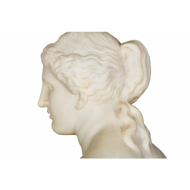 Grand Tour Marble Sculpture Statue Bust of Venus De Milo After the Antique For Sale - Image 10 of 15
