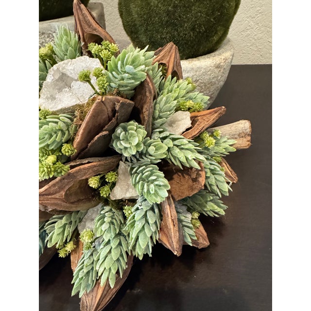 Green Custom Succulent & Geode Arrangement in Natural Star Pod Shell For Sale - Image 8 of 10