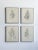 Vintage Quartet of Graphite on Paper Shirt Illustrations, a Set, Circa 1978 For Sale - Image 17 of 17