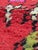Moroccan Handwoven Runner Rug - 10.3 X 2.7 Ft For Sale - Image 4 of 6