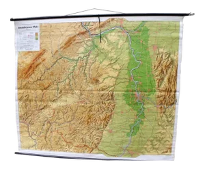 Mid-Century Map of the District of Rhineland-Hesse and Palatinate