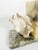 Marble Bookends with Stucco Fish Decoration, France, 1970s, Set of 2 For Sale - Image 10 of 15